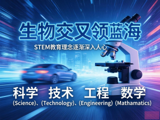 生物信息学，开启STEM交叉领域的新蓝海