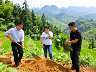 贵州生态脆弱区应对气候变化的实践与探索之路