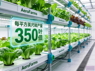 AeroFarms垂直农场刷新农业效率，叶菜产量超越传统350倍