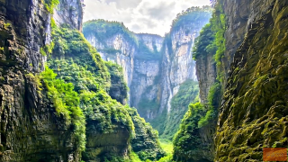探寻奉节天坑地缝，揭秘世界级喀斯特奇观之旅